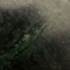 Meet your Posher, Petar